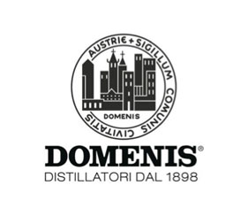 logo_DOMENIS